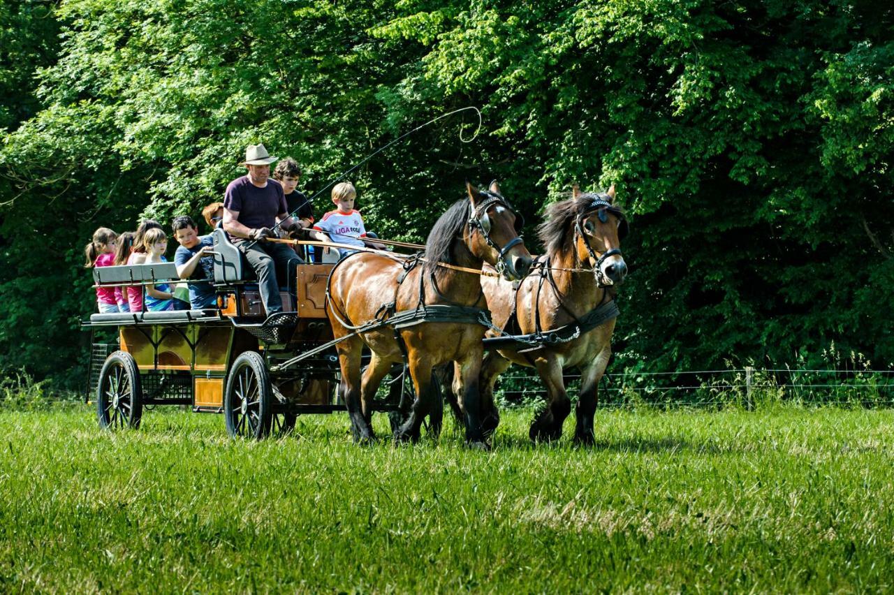 Nengshof Ferienwohnungen Mohnblume Und Kornblume Wißmannsdorf Esterno foto