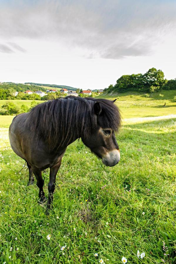 Nengshof Ferienwohnungen Mohnblume Und Kornblume Wißmannsdorf Esterno foto