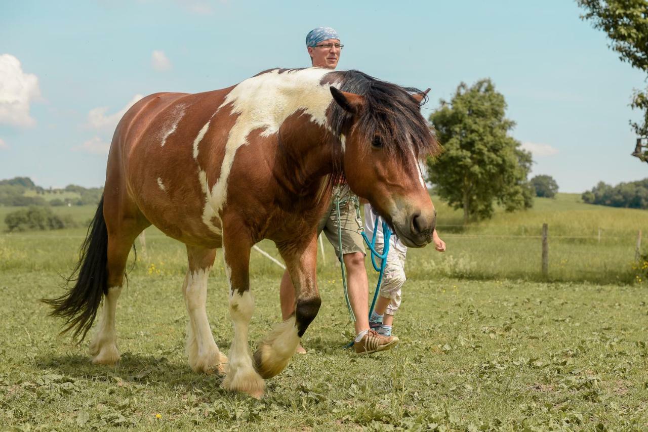 Nengshof Ferienwohnungen Mohnblume Und Kornblume Wißmannsdorf Esterno foto