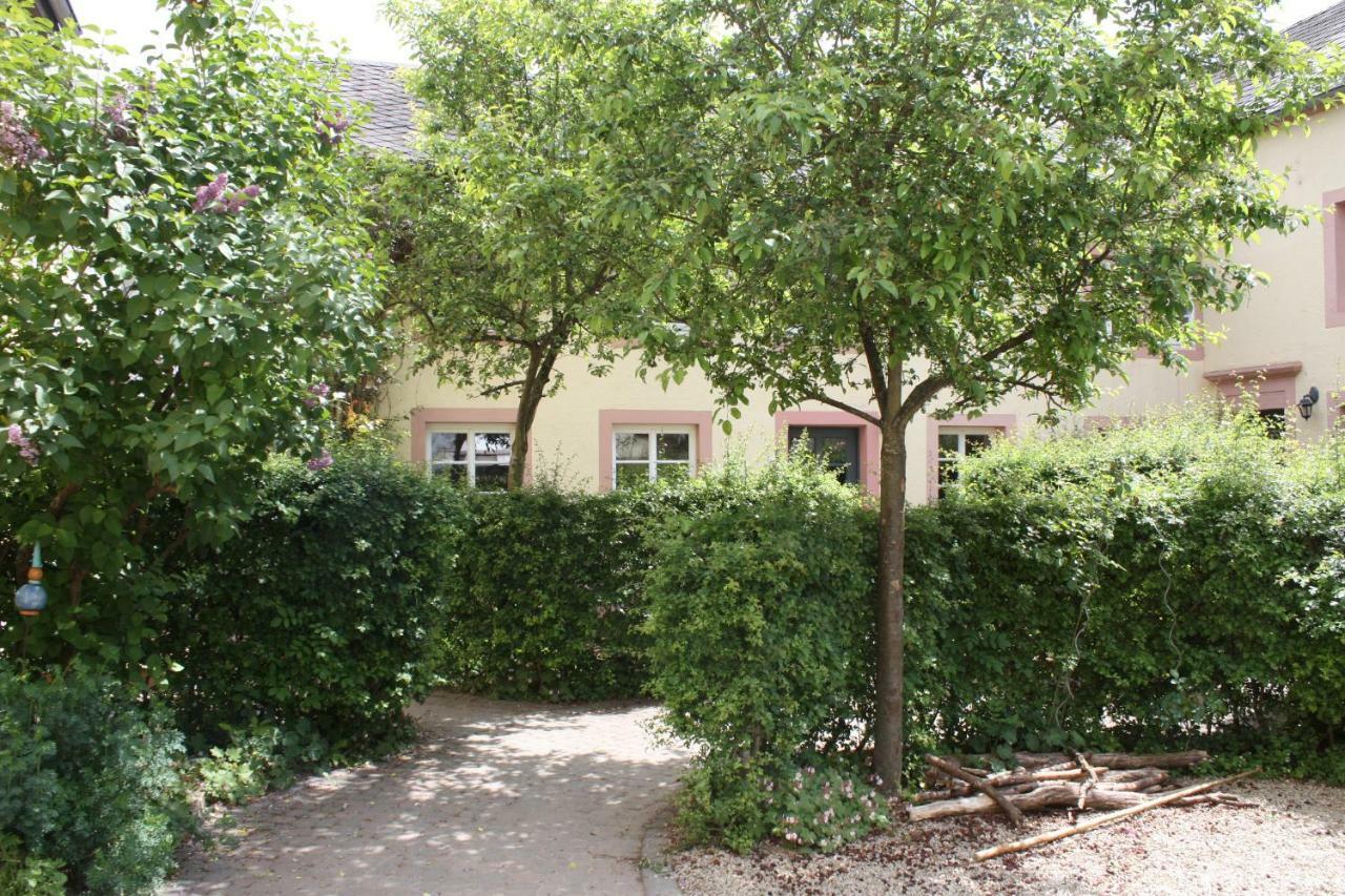 Nengshof Ferienwohnungen Mohnblume Und Kornblume Wißmannsdorf Esterno foto
